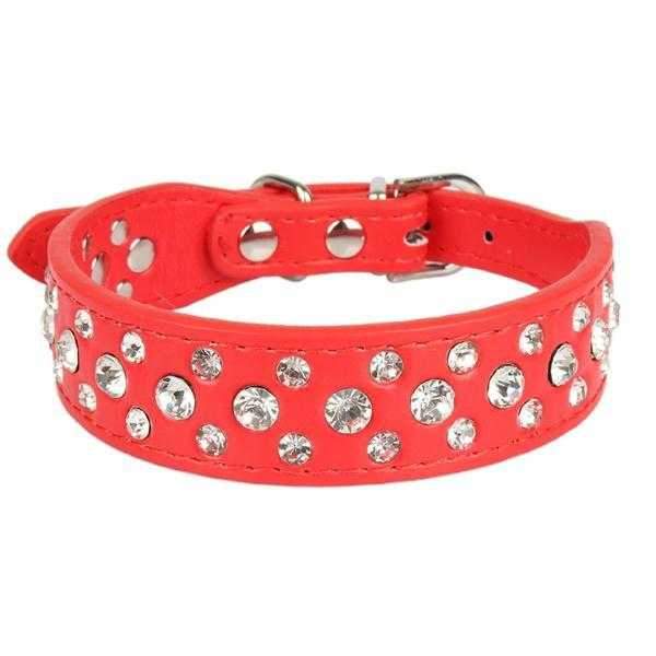 Dog Collar Australia Fast & Express Shipping Wide Range DoggyTopia