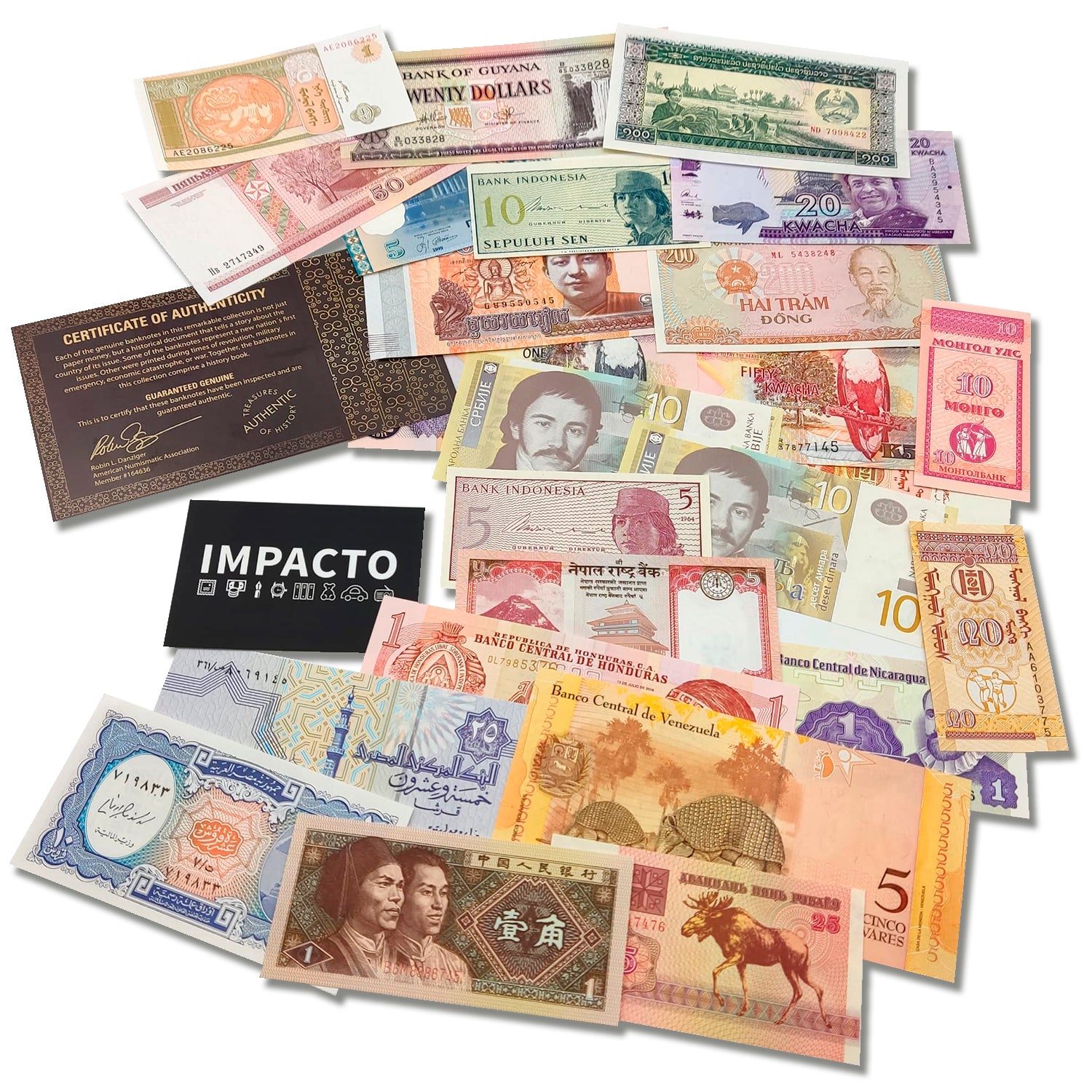 Banknote & Coin Accessories – Banknote World