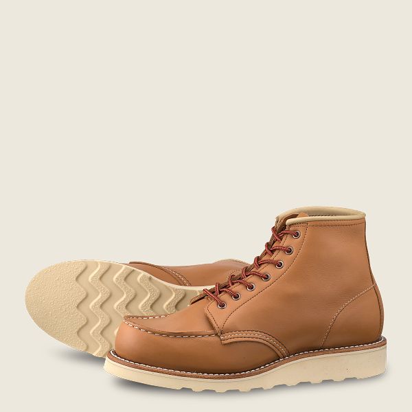 6-Inch Classic Moc