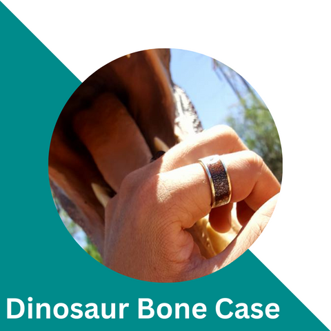 Park City Jewelers Dinosaur Bone Collection Case 5