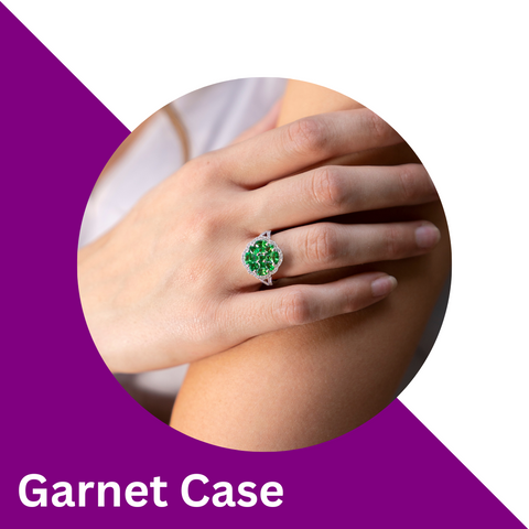 Park City Jewelers Garnet Collection Case 13 Image