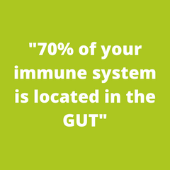 IMMUNE System in Gut 