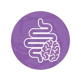 Gut Health - Brain 