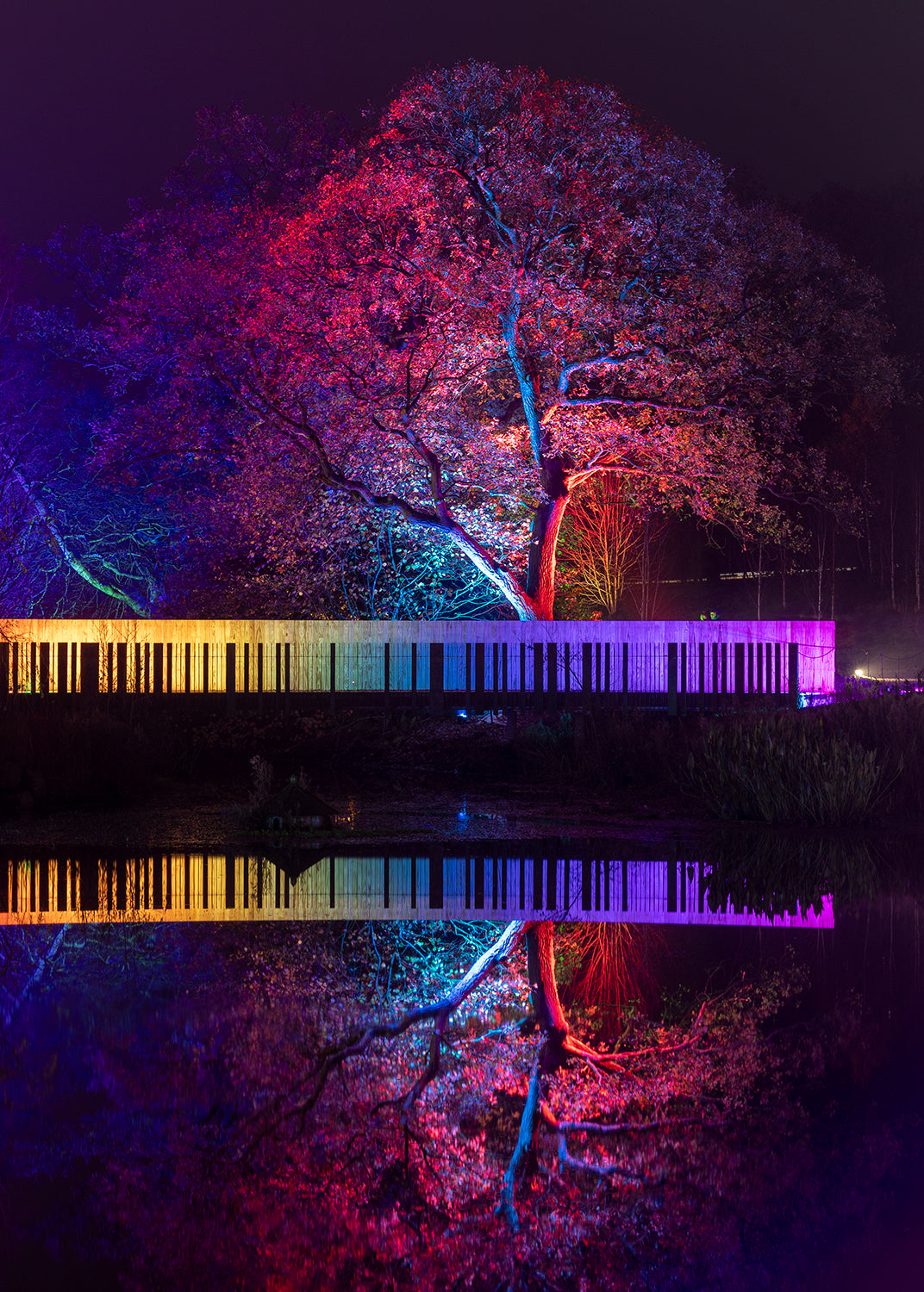 Glow Night Photography at RHS Harlow Carr