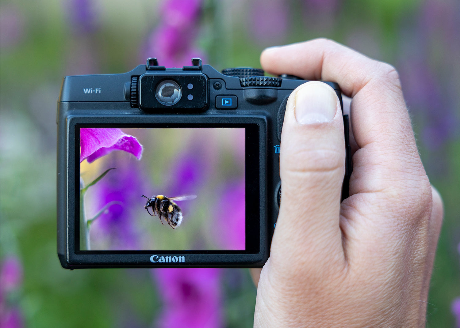 Get a Grip Camera Course at RHS Harlow Carr