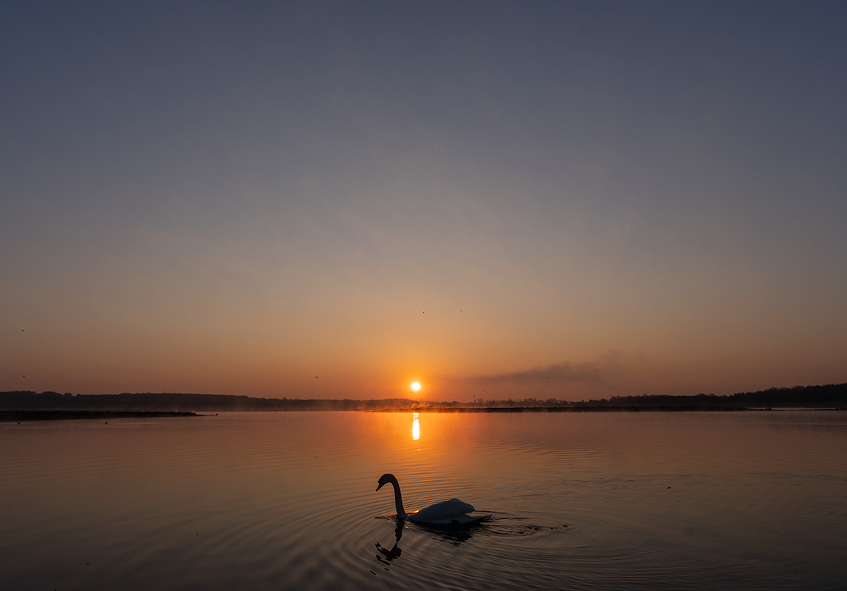 St Aidan's Nature Reserve