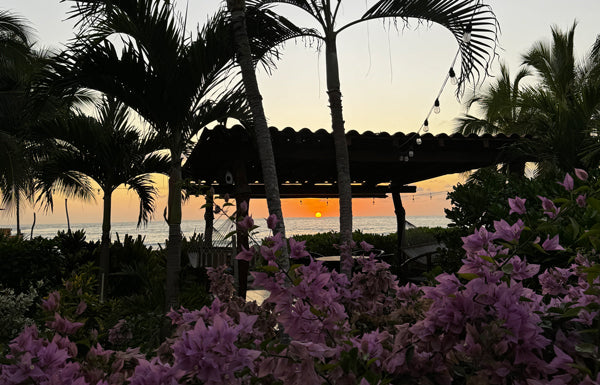 Surfing and the Sunset in Mexico with Michelle Pusateri, Nana Joes Granola