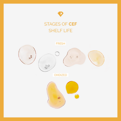 The stages of CEF Shelf Life