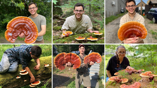 2021 reishi photo compilation