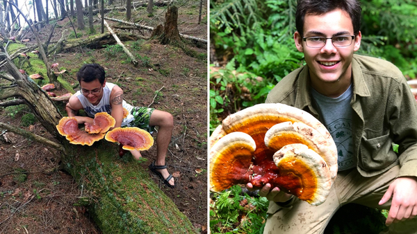 Garrett in the woods with reishi mushroom