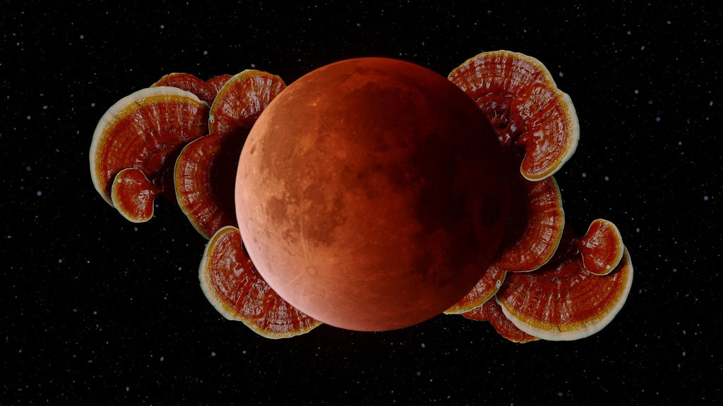 Lunar eclipse with reishi