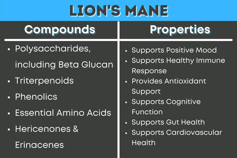 Lion's Mane Compounds and their benefits. Polysaccharides including Beta Glucan, Triterpenoids, Phenolics, Essential Amino Acids, Hericenones, Erinacenes. Good for positive mood, immune boost, antioxidants, cognitive booster, nootropic, gut health, cardiovascular health. 