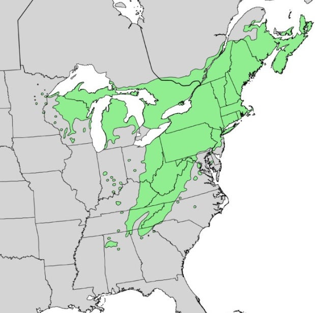 Map of reishi distribution in the USA