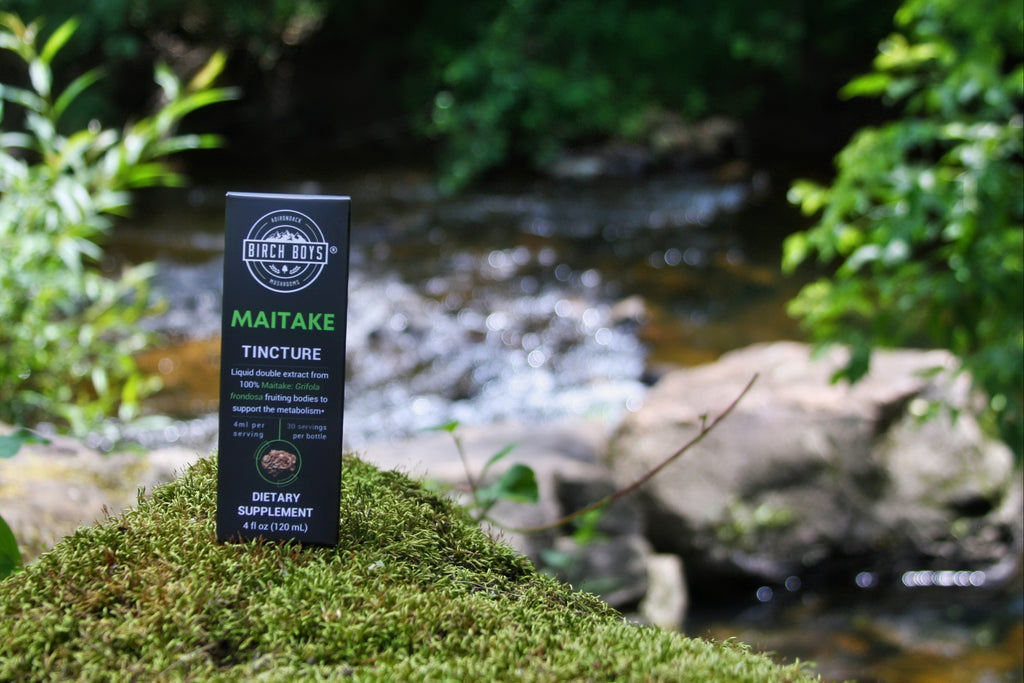 Birch Maitake Tincture near a stream