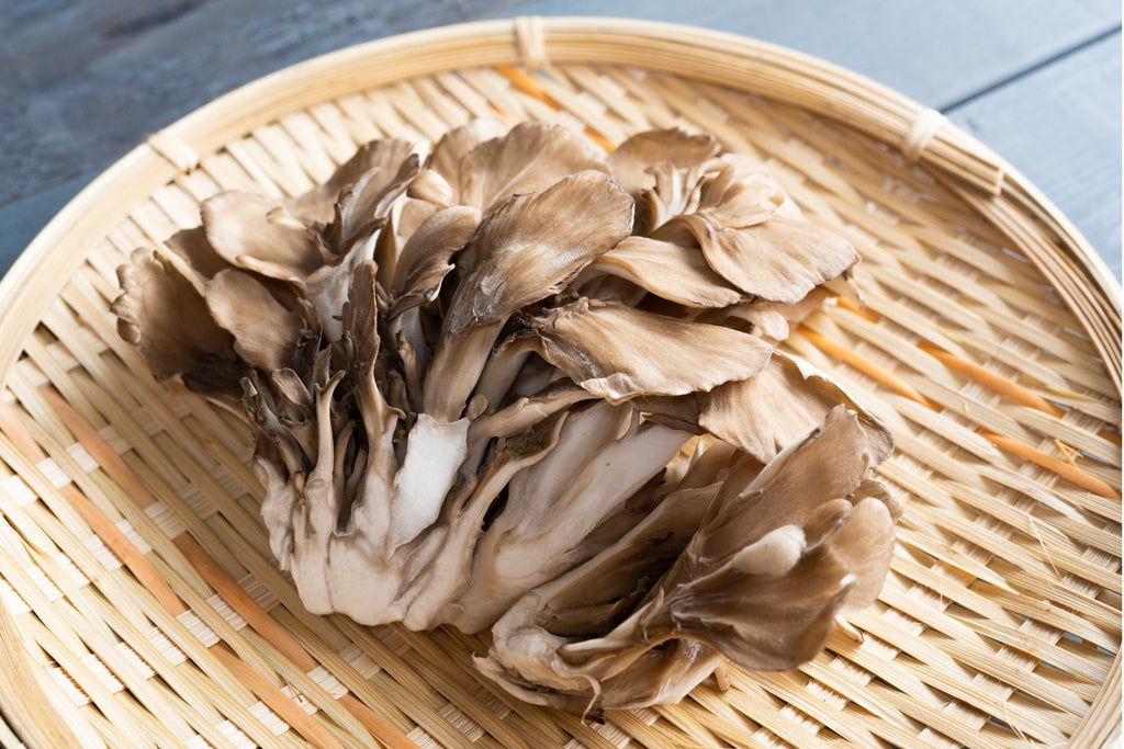 Maitake Mushroom on a Plate