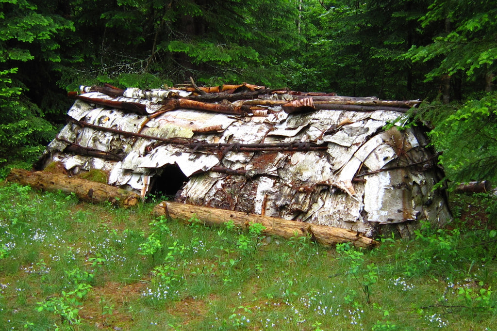 Longhouse in the Adirondacks