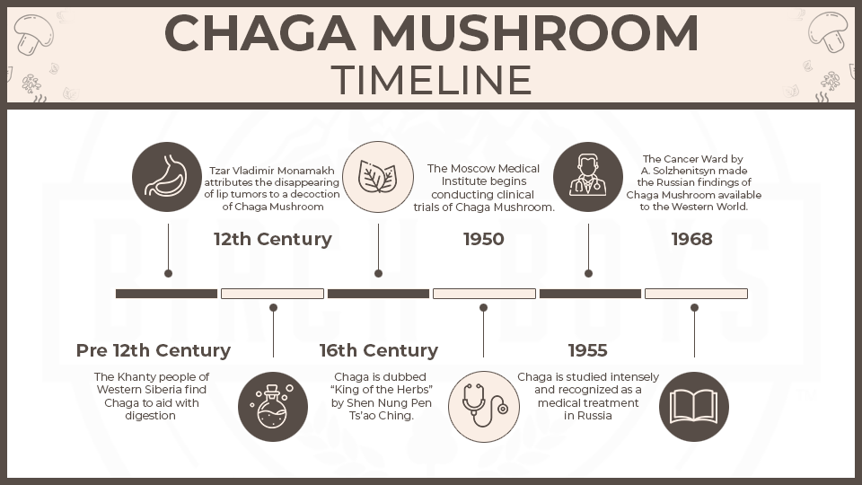 chaga mushroom history timeline
