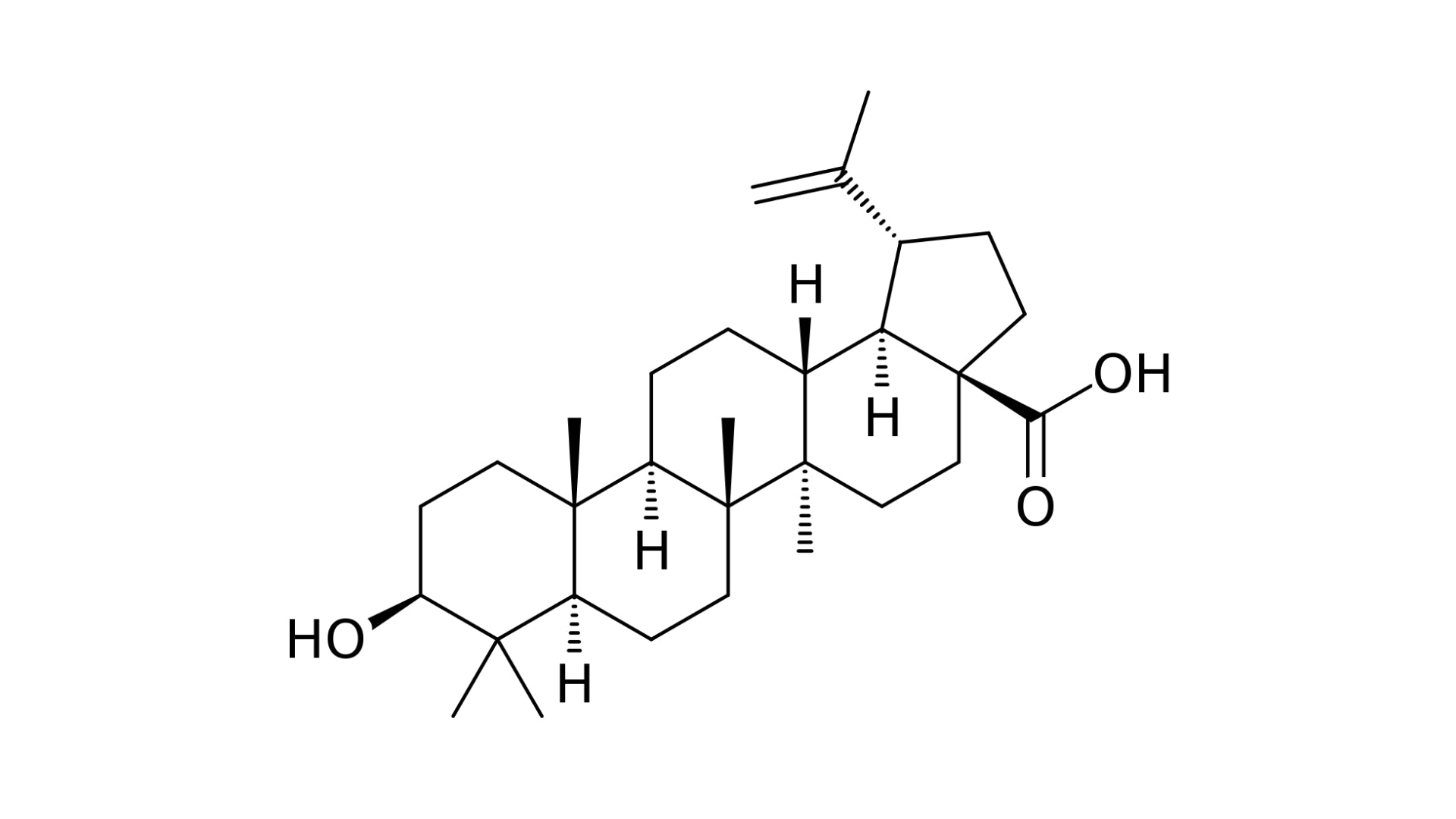 betulinic acid from inonotus obliquus