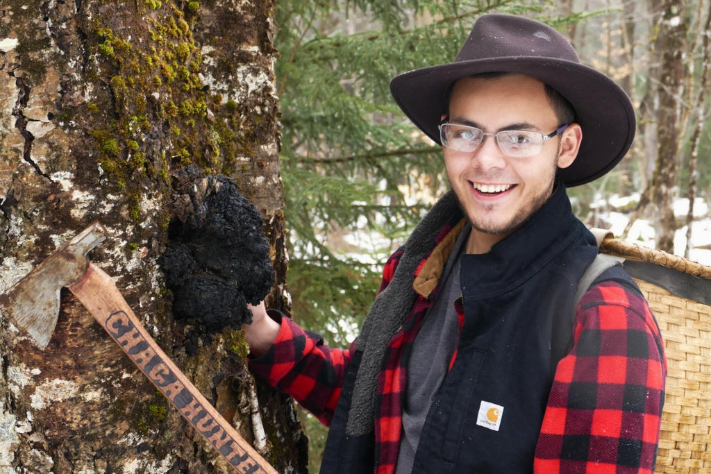 Chaga Harvester next to a tree with chaga