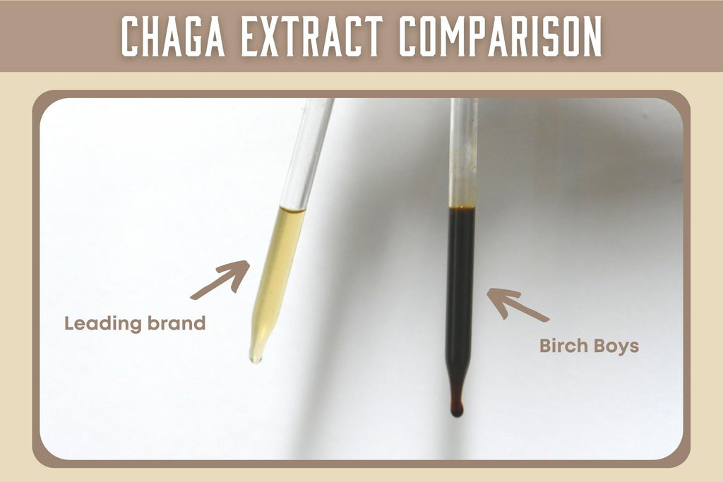 Comparison between the leading Chaga Extract with Birch Boys Chaga Tincture. Something doesn't add up.