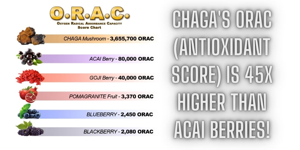Chaga Antioxidant ORAC Score
