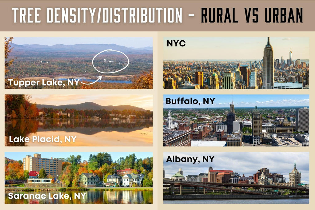 Comparing the tree density of rural New York with the tree density of New York City NYC