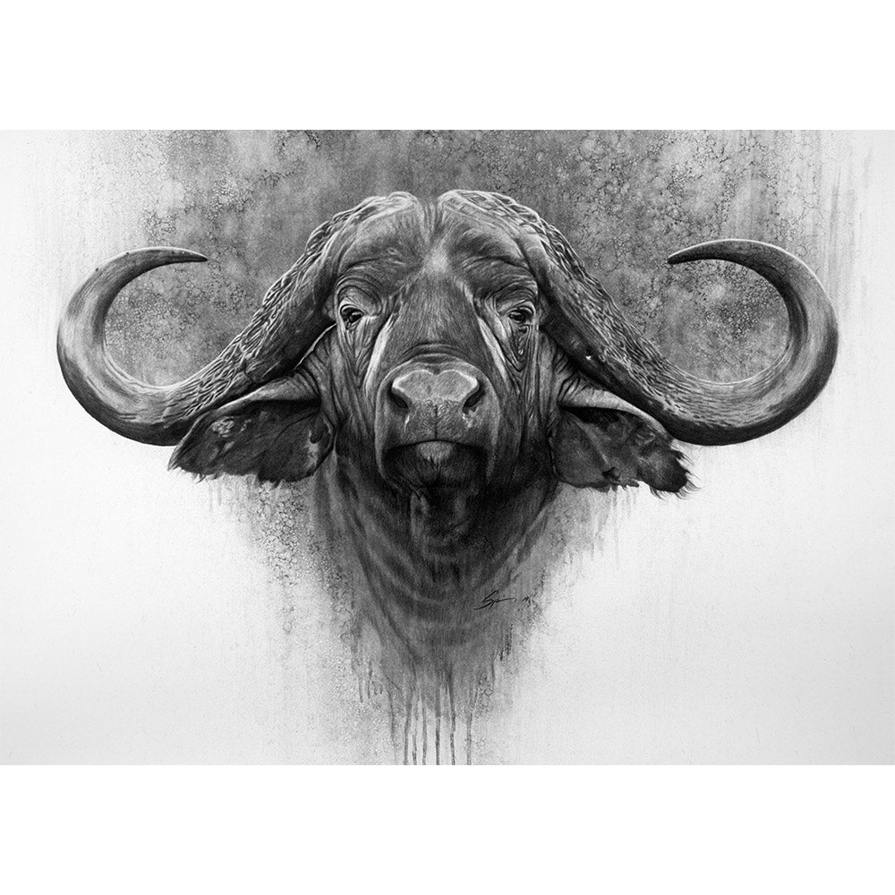 cape buffalo