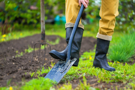 Getting Your Garden Ready For Spring | Easy Living Goods