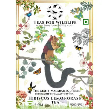 Teas for Wildlife Giant Malabar Squirrel Hibiscus Lemongrass Tea