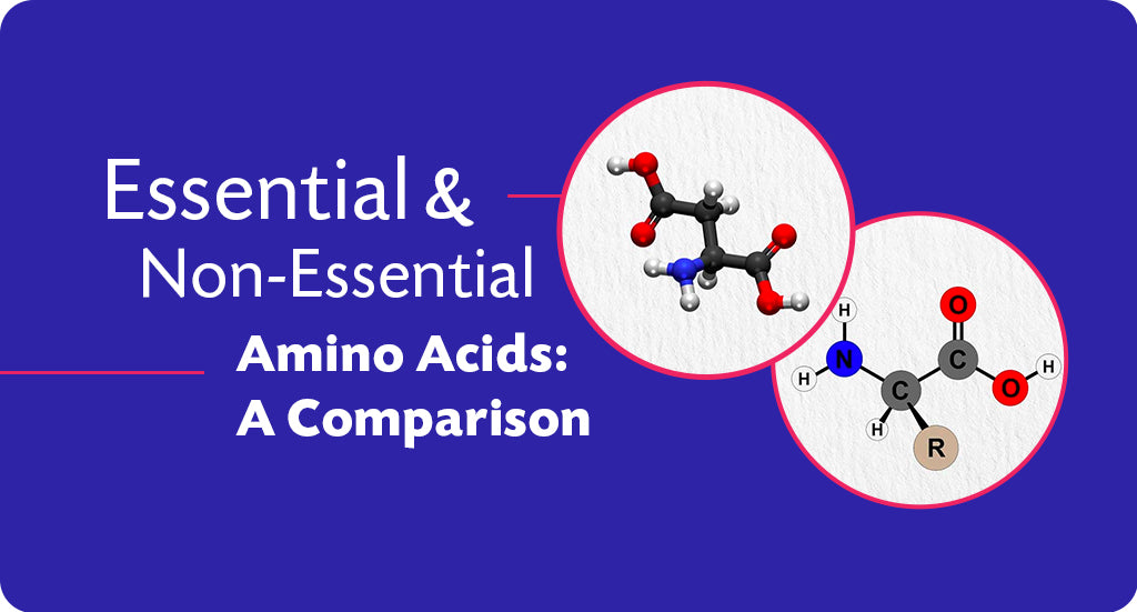 Difference Between Essential And Nonessential Amino Acids Steadfast Nutrition 1197