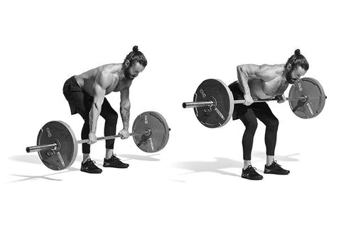 Bent over barbell rows