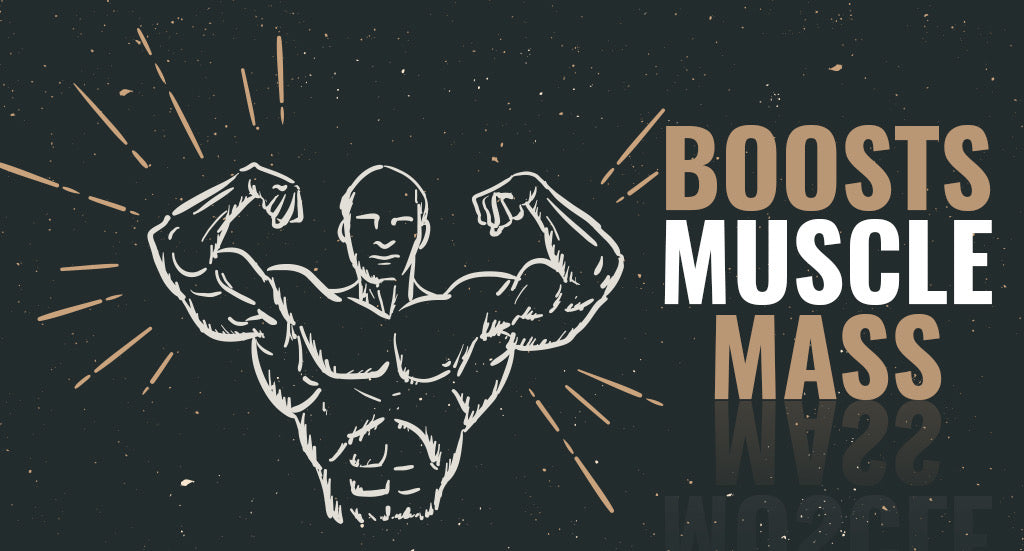 Boosts Muscle