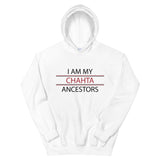 Chahta Ancestors Unisex Hoodies Review