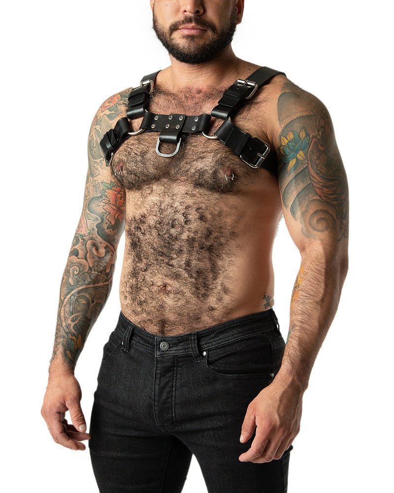 Anvil Leather Bulldog Harness