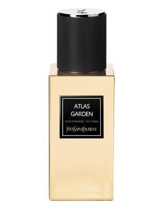 Yves Saint Laurent Libre Le Parfum Perfume Samples
