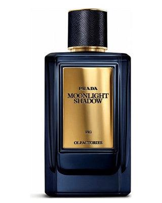 Buy Prada Moonlight Shadow Perfume Sample & Decants | Fragrances Line –  