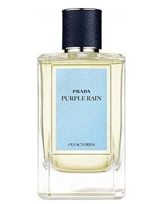 prada perfume purple bottle