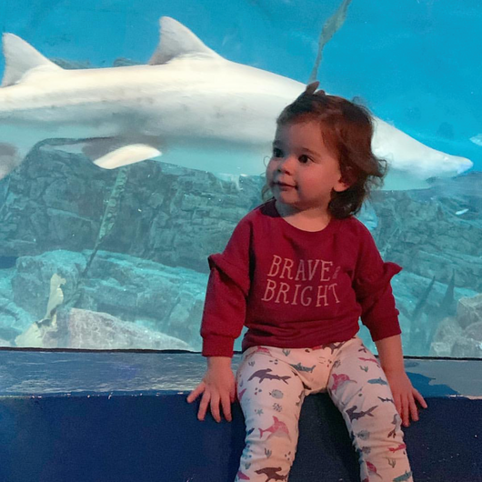 baby girl shark clothes