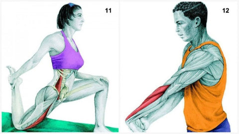 Cuádriceps medio arrodillado / Estiramiento del flexor de la cadera + Estiramiento del extensor del antebrazo