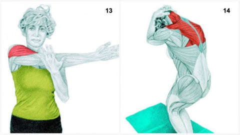 Lateral Shoulder Stretch + Standing Assisted Neck Flexion Stretch