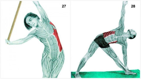 Lateral Flexion with a Dowel + Triangle Pose