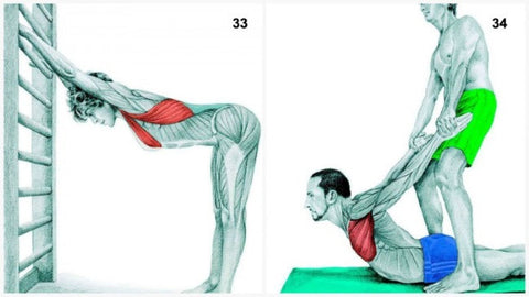 Down Dog Variation at the Wall + Assisted Chest Stretch Variation