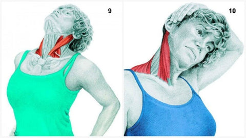 Neck Extension Stretch + Lateral Side Flexion of the Neck with Hand Assistance