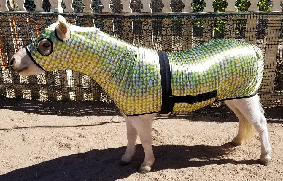 slinky for horses