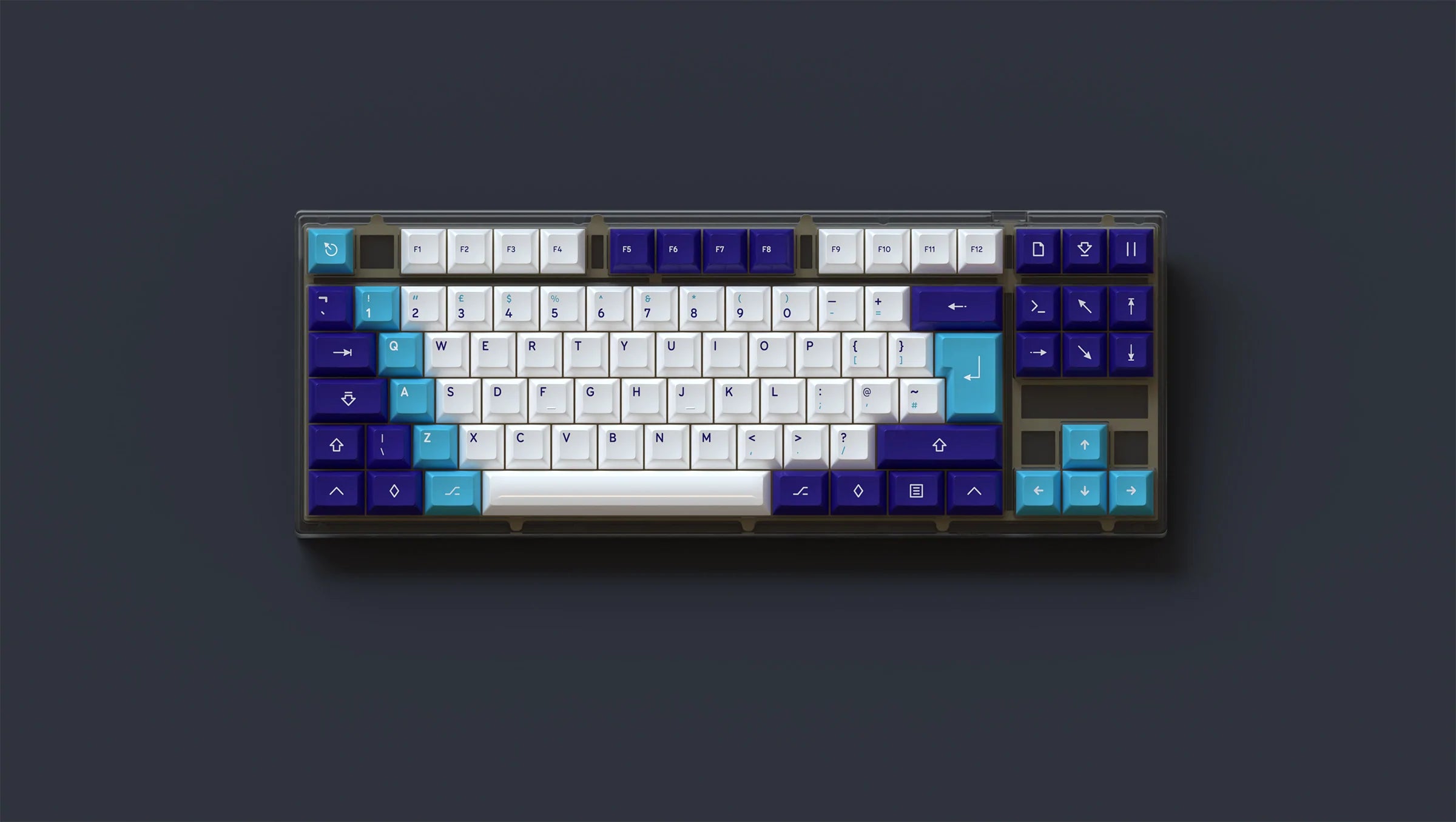 In Stock] SP SA Spectra