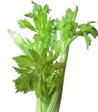 Celery