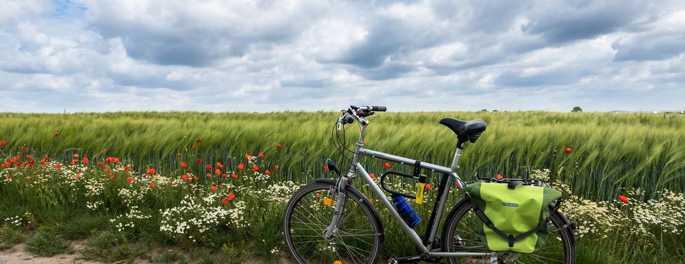 Cycle in Spring