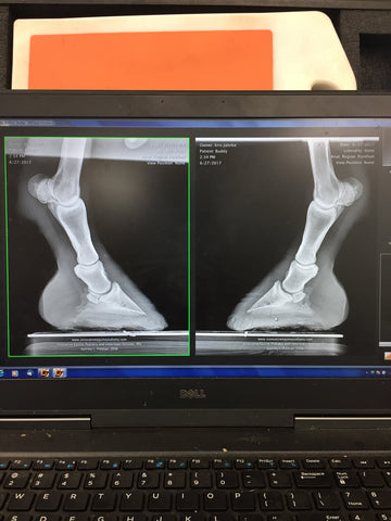 X-rays taken today!!