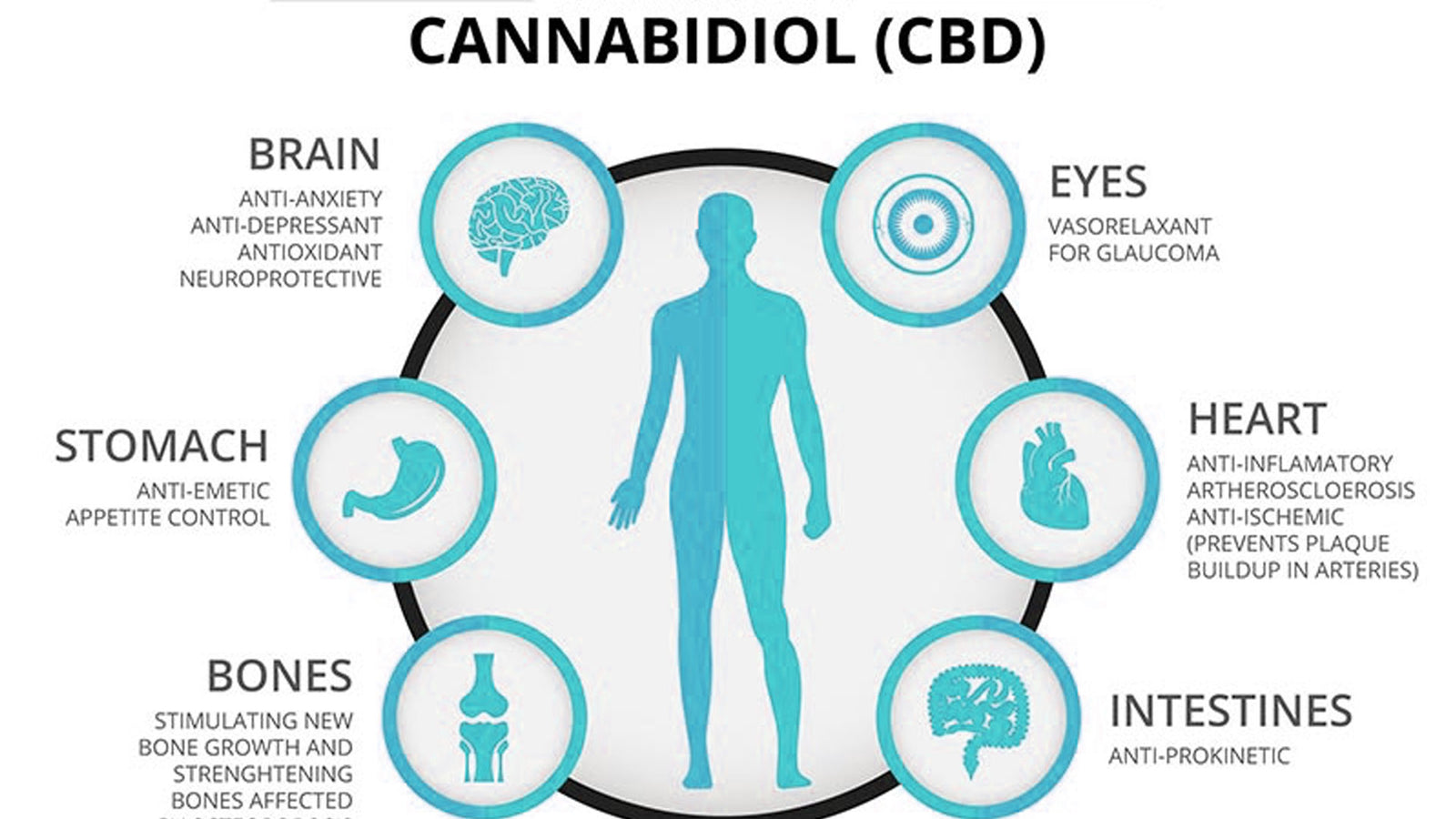 The Miraculous Benefits of CBD Oil: Step by Step Beginner's Guide for  Healthy Lifestyle, Pain Relief, and Mental Peace - Pricepulse