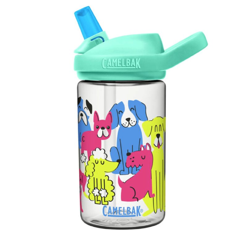 CamelBak + National Park Service Chute Water Bottle